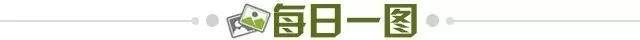 87684785-5237-40ca-b666-30909cc9c486.jpg@!img01